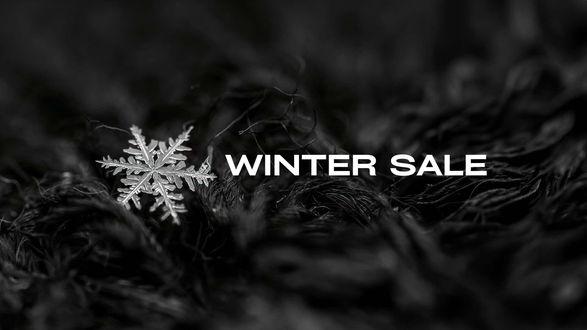 wintersale.png